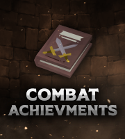 Combat Training