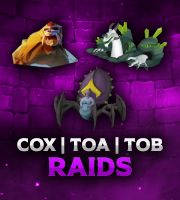 Raids