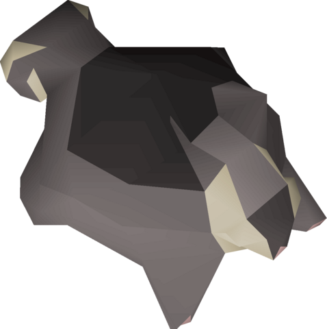 Black Chins Caught